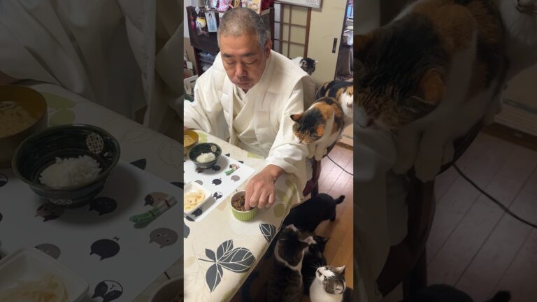 住職の朝ごはん。蓮根の酢漬け きゅうりの白菜の浅漬け 大根の皮のきんぴら ごはんともやしの味噌汁