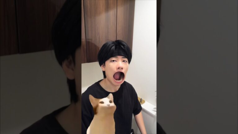 パンナコタミーム作ってみた #shorts