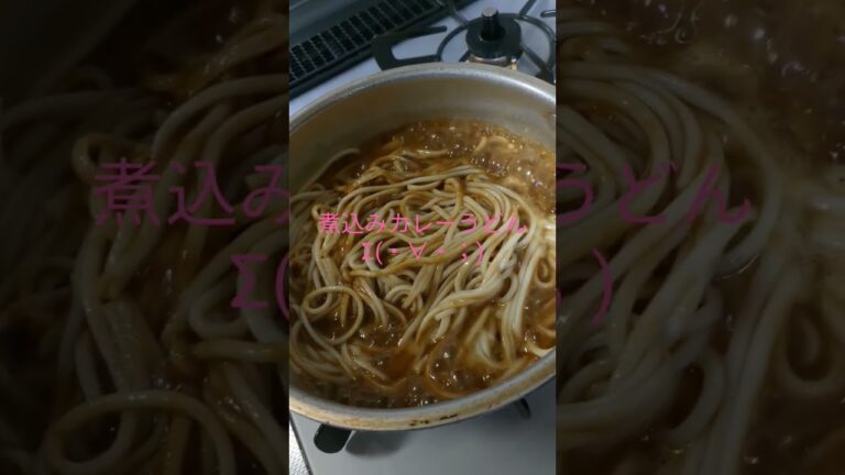 インド人もびっくり?!煮込みカレーうどんΣ(・∀・；)