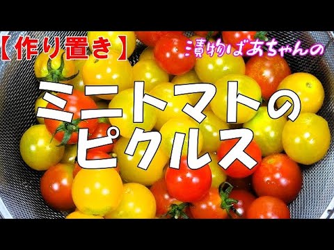 【作り置き】ミニトマトのピクルス『サンドイッチ、ハンバーガー、肉料理などの添え物に最適で美味しい！！』