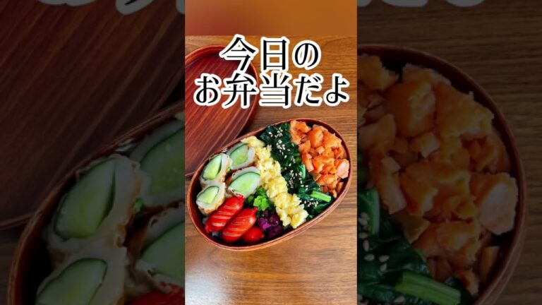 【今日のお弁当だよ】鮭そぼろ弁当#shorts