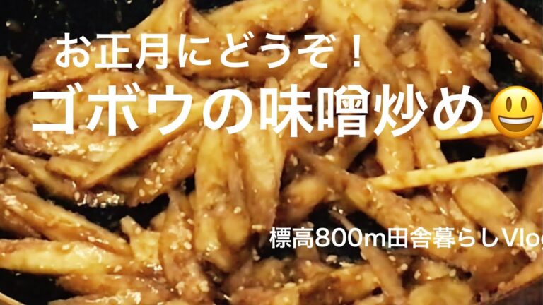 [作り置き料理]お正月のお酒にご飯に最高！ゴボウの味噌炒め！　　田舎暮らしVlog