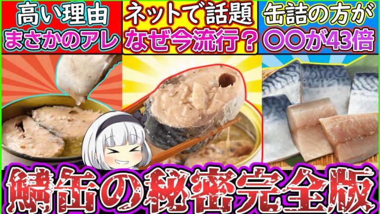 【ゆっくり解説】鯖缶史上衝撃のひみつ！切り身よりも健康的な栄養が豊富⁉︎