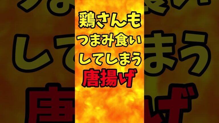 鶏さんもつまみ食いしてしまう唐揚げ【バトルキッチン.211（2023.7.12)】