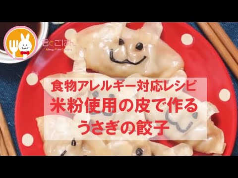 君とごはん【食物アレルギーレシピ】米粉使用の皮で作るうさぎの餃子【卵・乳・小麦不使用】