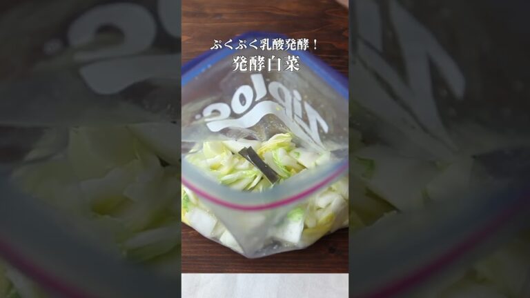 発酵白菜 #shorts #cooking #料理
