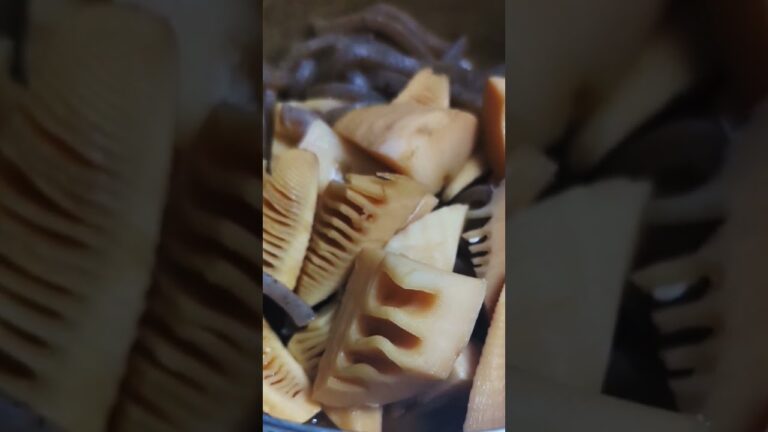 たけのこの水煮とこんにゃく