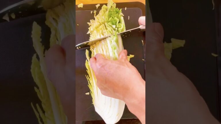 豚ひき肉と白菜を炒めたやつ #cooking #料理 #料理動画