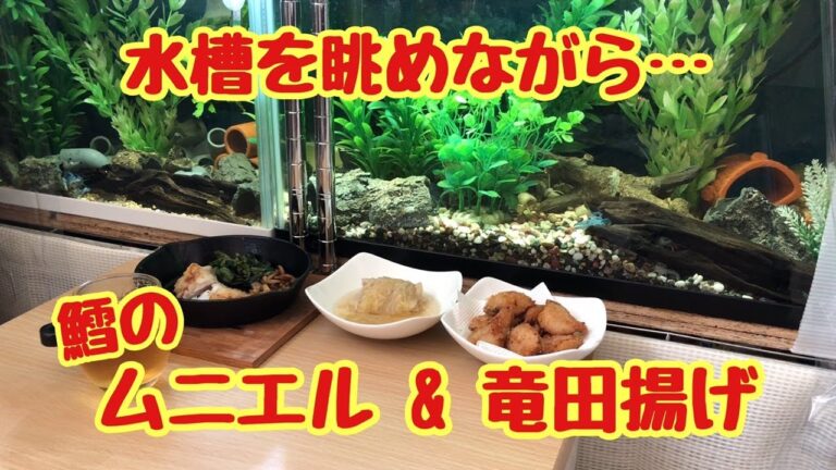 【ムニエル&竜田揚げ】水槽を眺めながら…