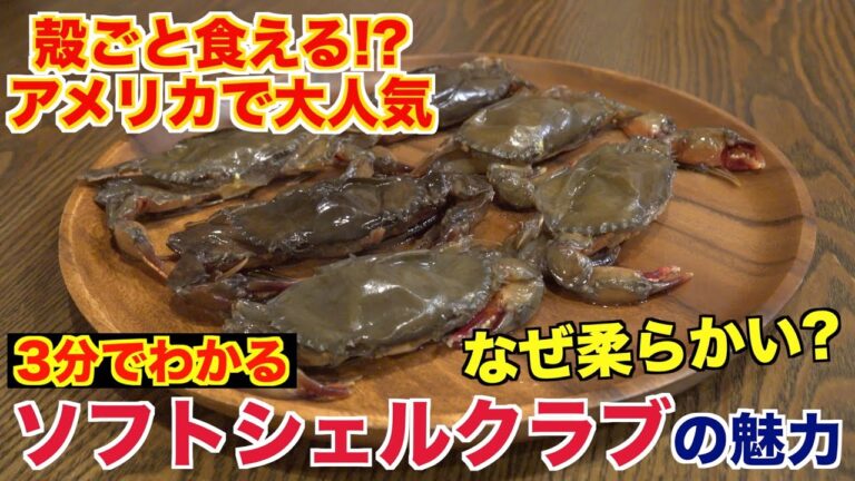 【殻ごと食べられる？】ソフトシェルクラブってなに？魅力と食べ方