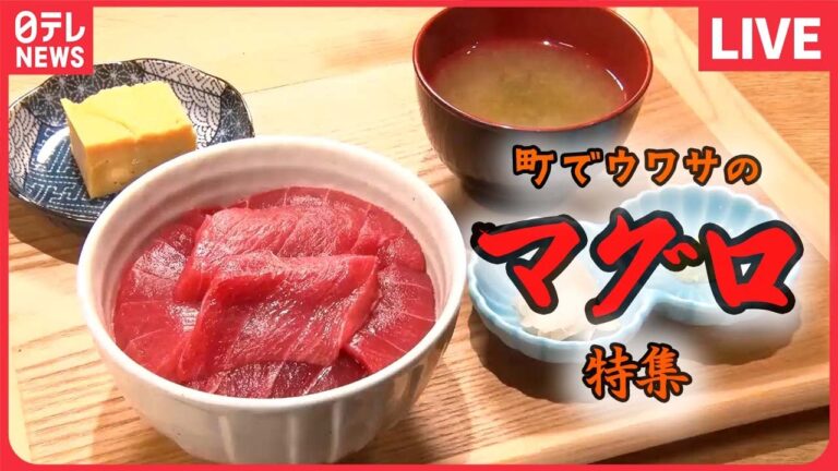 【マグロまとめ】魚市場でマグロ食べ放題 / 町でウワサのマグロ料理 / 地域密着！おもしろ回転寿司　など（日テレNEWSLIVE）
