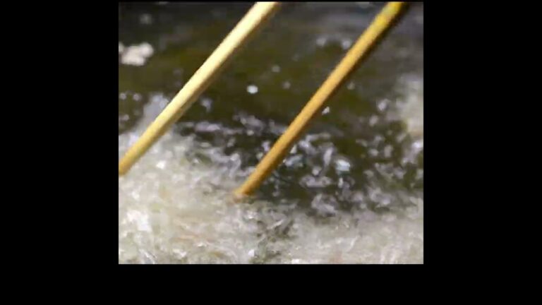 肉団子を揚げる様子を１分の動画にしてみました。【あんしんごはん料理ch】#Shorts