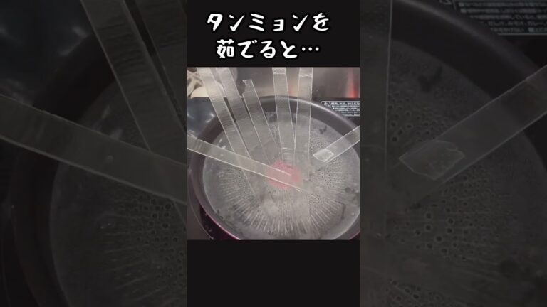【タンミョン】茹でてみると……#shorts