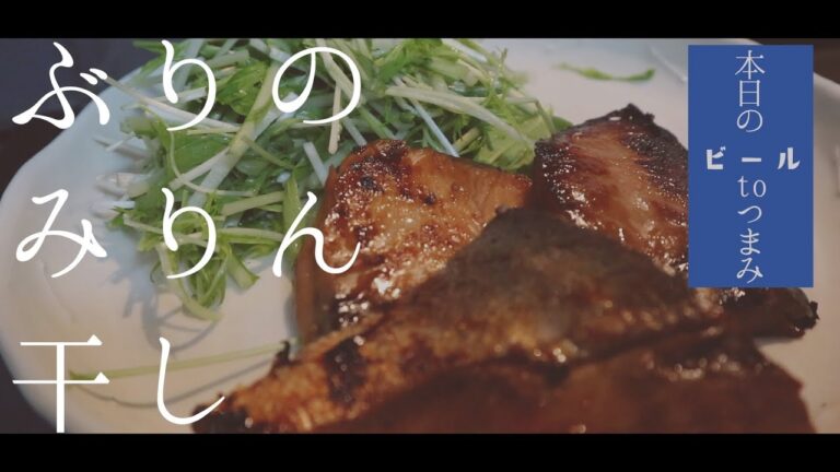 本日のビールtoつまみ「Goose IPA」「ぶりのみりん干し」VLOG