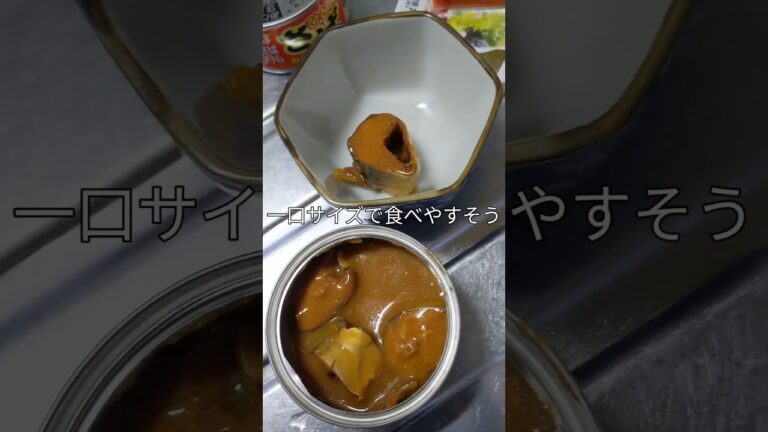 美味しい鯖の味噌煮の缶詰が食べたいと言うのでイナバの缶詰を買ってみたけど美味しかったよ#いなば #さば #味噌煮 #缶詰 #美味しい #saba #delicious