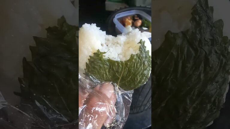紫蘇の葉の塩漬けおにぎり#shorts #おにぎり #お弁当