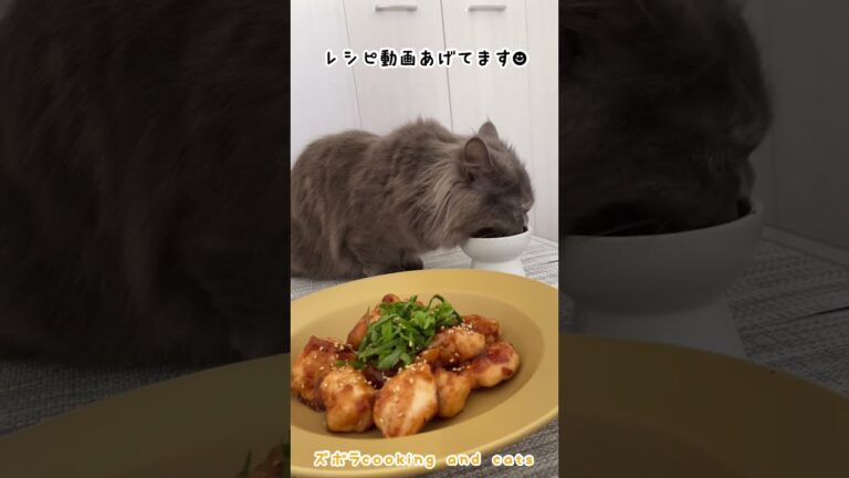 鶏ムネ肉の梅しそチキンwith cats #shorts