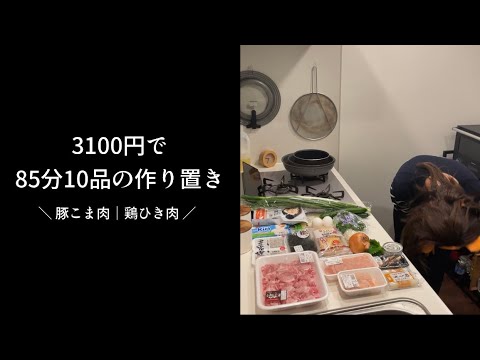 【3100円】ズボラ女子が85分で10品の作り置き