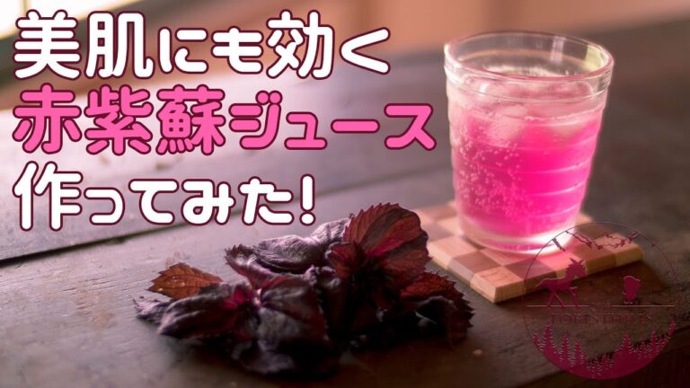 シソジュースの作り方　夏バテ防止や美肌効果 | ASMR cooking channel【赤紫蘇レシピ】