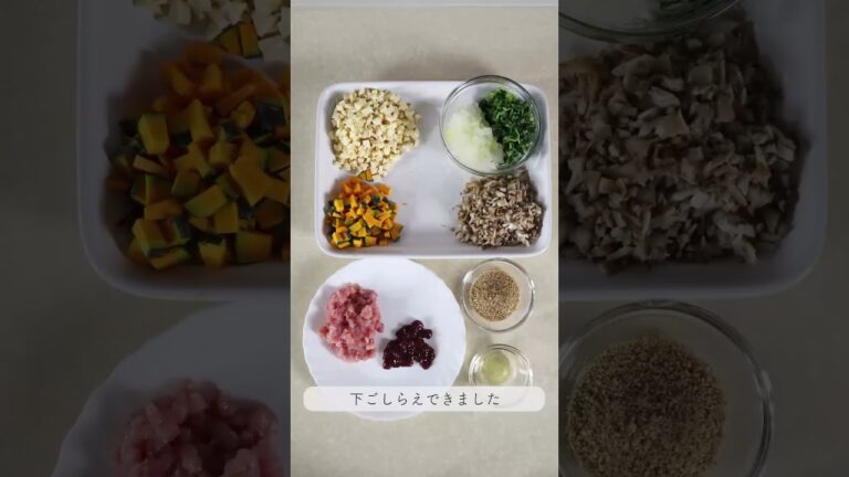 【手作り犬ごはん】豚ももと冬瓜のごはん／手作り犬ごはんのレシピや関連情報を中心に紹介していきます。グッドボタン、コメント、チャンネル登録よろしくお願いします #犬 #犬ごはん #ドッグフード