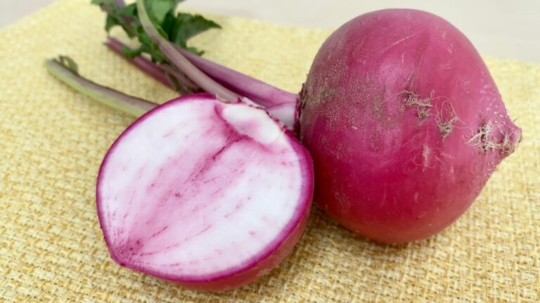 かぶ/もものすけカブ〈野菜の食べ方＆調理方法〉by食育マルシェおうち便