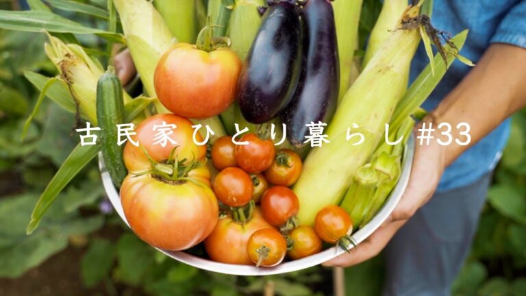 【田舎で自給自足】縁側パーティー｜夏野菜キーマカレー｜とうもろこしご飯｜天ぷら＆そうめん｜無限ピーマン｜トマトとオクラのさっぱり和え｜枝豆【料理ASMR】