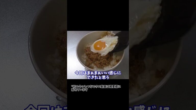 無印良品のガパオライス｜肉と野菜の旨味がマッチしすぎてて昇天しかけた【ゆっくり実況】