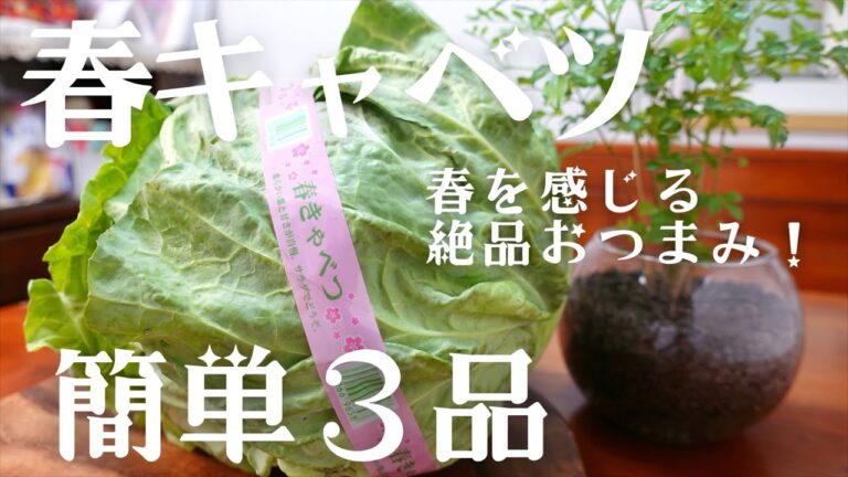 【春キャベツレシピ】間もなく春到来！春キャベツを使った簡単おつまみ3品