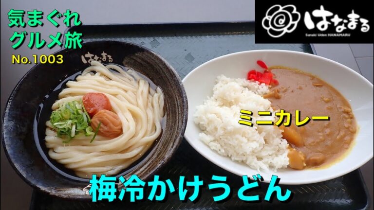 【気まグルメ】はなまる「梅冷やかけうどん」梅の酸っぱさが冷たいうどんに良く合います - No. 1003