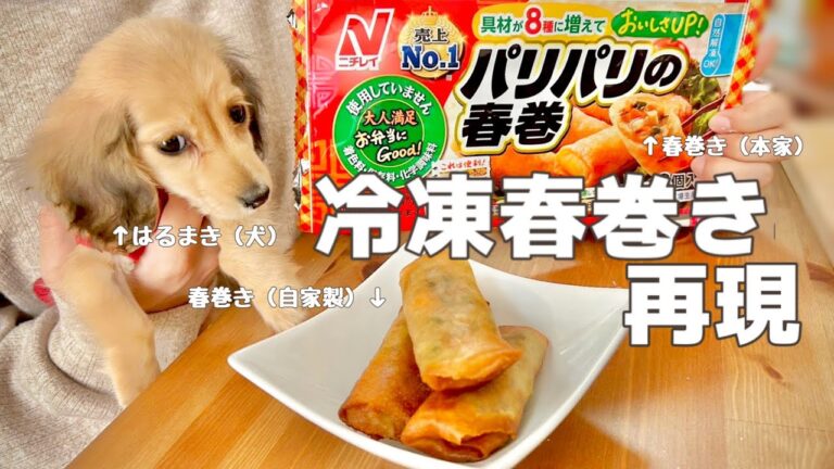 パリパリ春巻き再現しようとしたら至高の春巻きになった
