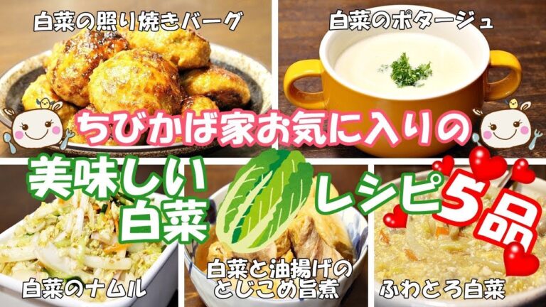 簡単で美味しい【白菜レシピ】おかわり間違いなし！【5品】#189