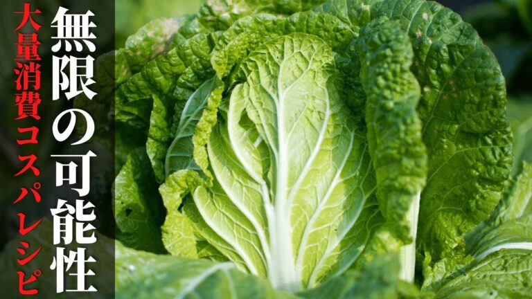 【白菜で簡単】３品アレンジレシピ　鍋以外のレシピで紹介！