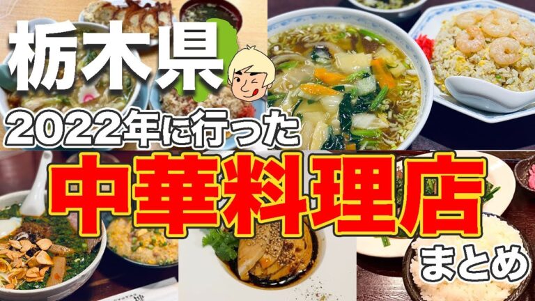 【炒飯/麻婆豆腐/餃子etc】2022年に行った中華料理店まとめ【栃木グルメ】