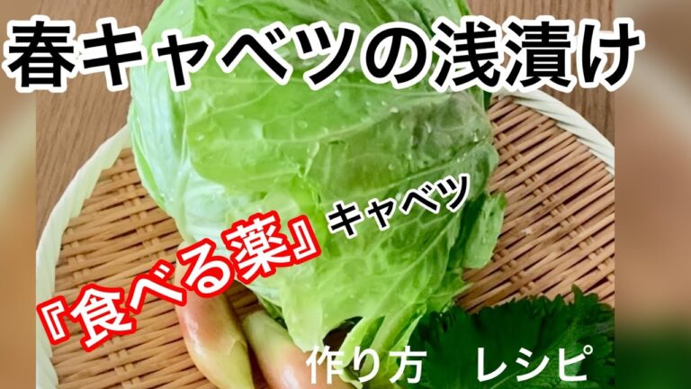 【春キャベツの浅漬け‥】‥キャベツ丸ごと使って‥レシピ　作り方