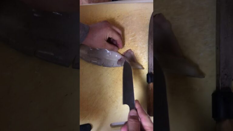 イカぽっぽ焼き〜文化包丁〜