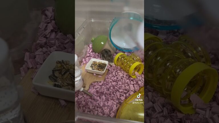 12月10日ダイエット日記