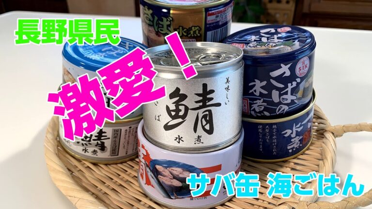 長野県民”激愛”サバ缶使用　おうちで海ごはん 日本財団 海と日本PROJECT in 長野 2020 #05