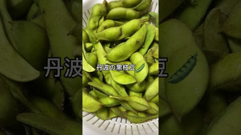 丹波黒枝豆🫛