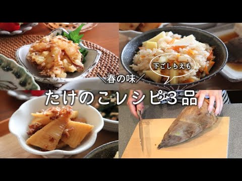 【たけのこ】旬のタケノコ 下処理から使い切り3品  / 料理動画