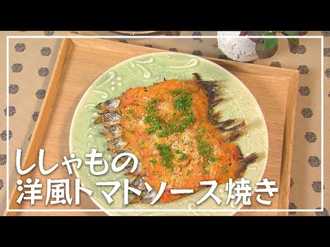 【1分動画】カリカリのパン粉がアクセント♪ししゃもの洋風トマトソース焼き【らくらくおしゃレシピ】
