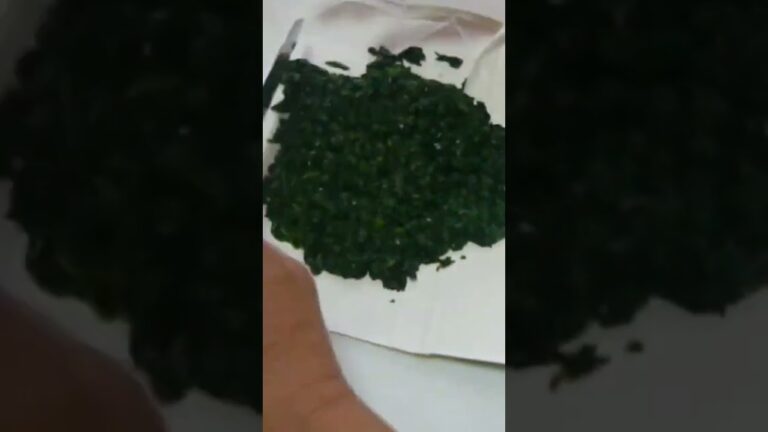 モロヘイヤ、ネバネバ