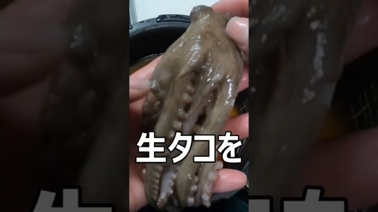 たこ飯の作り方。マジで旨い。