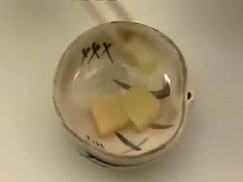 とうがんの煮物