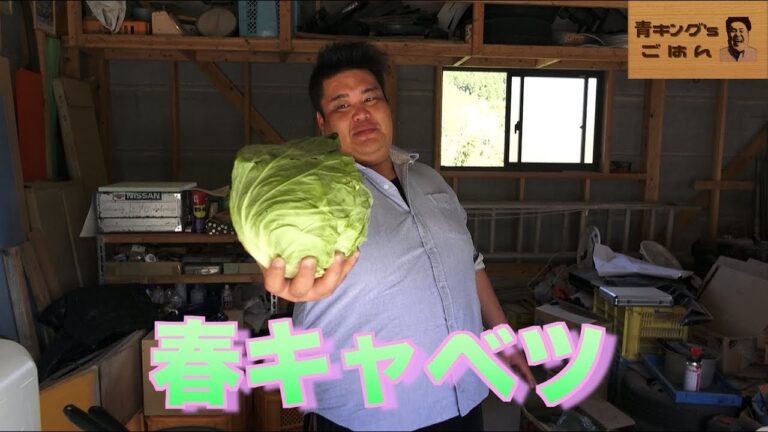 春キャベツをふんだんに使ったパスタとサラダ【青キング's ごはん】