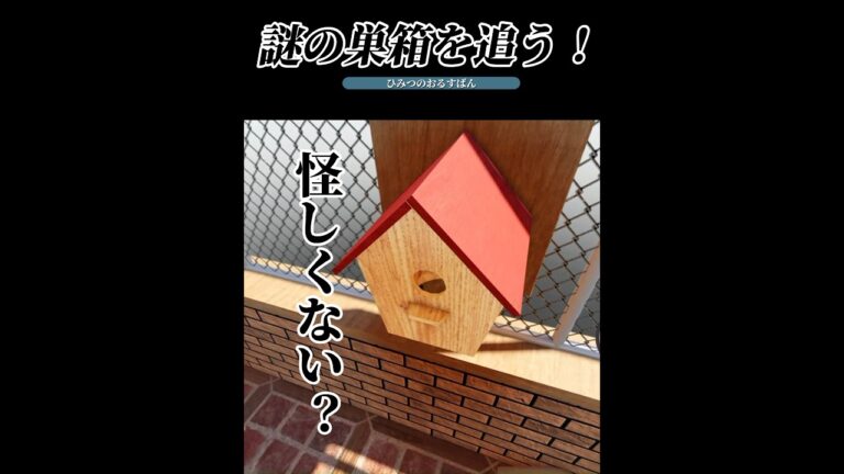 [ひみつのおるすばん]謎の巣箱の中には…？！