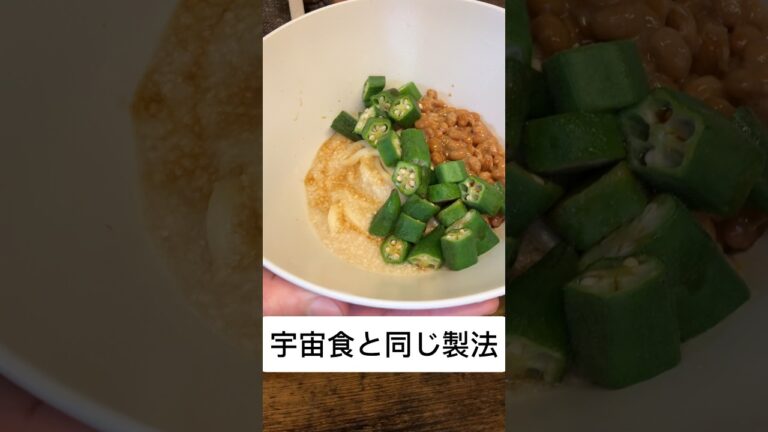 【宇宙食？】ネバネバうどん