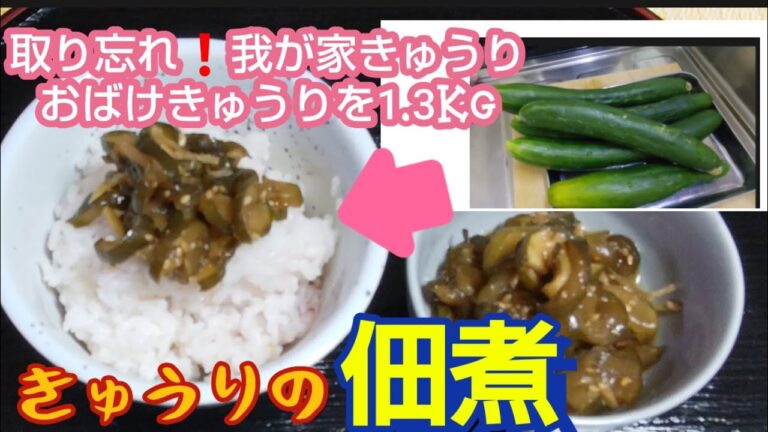 【キュウリの佃煮】採り忘れ❗️1.3kgのおばけキュウリが美味しい💕佃煮になりました🎵【きゅうりを大量消費したい❗️】【本編】