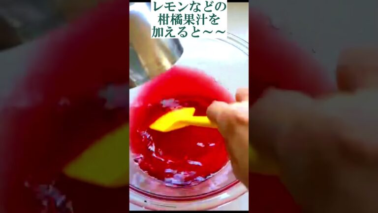色鮮やかに変身！赤しそジュースの作り方　ほんのり甘酸っぱい、クセになるおいしさ　疲労回復にバッチリ、手作りヘルシージュース #健康料理家 #オンライン料理教室 #シソジュース