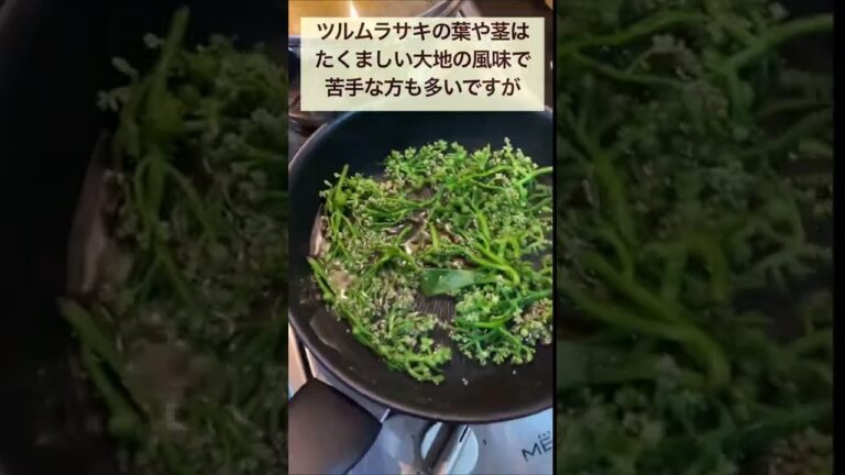 ツルムラサキの花　Malabar Spinach Flower　ดอกผักปลัง(ドークパックパン) #vegetable  #タイ野菜 #shorts #ショート動画　#thailand