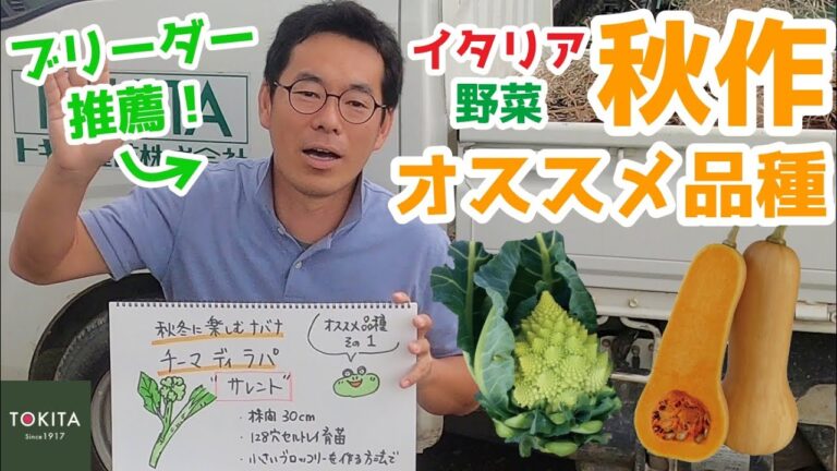 【家庭菜園】これから種まき！秋作オススメ品種を解説【イタリア野菜】